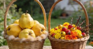 Pigwa a pigwowiec: czym różni się uprawa tych owoców w ogrodzie?